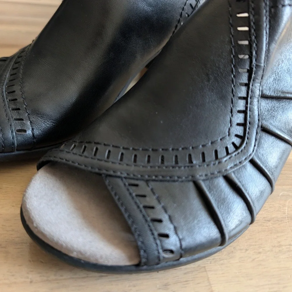Earth steph moza